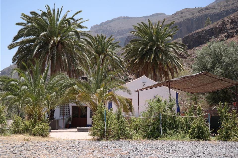 EcoTara Canary Islands Eco-Villa Retreat Fátaga Exterior foto